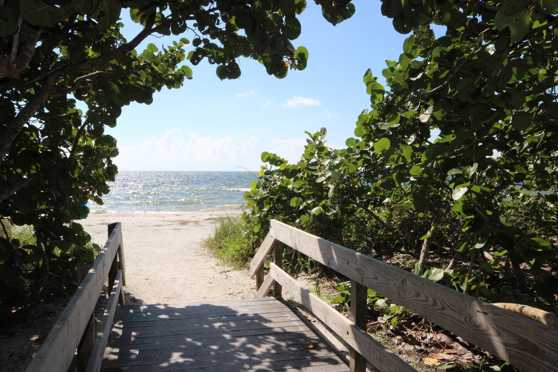 Wooden boardwalk through lush vegetation leading to a white sand Florida beach
